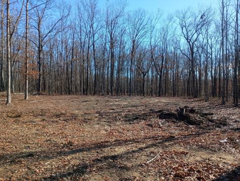 0 Laurel Lake Drive Monteagle TN 37356