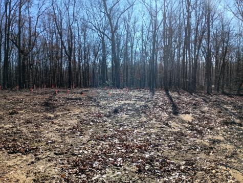 0 Laurel Lake Drive Monteagle TN 37356