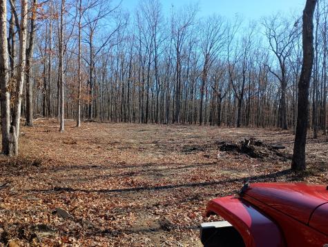 0 Laurel Lake Drive Monteagle TN 37356