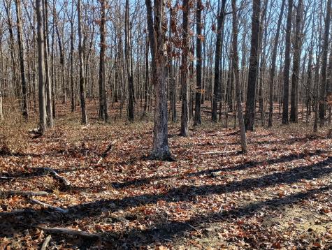 0 Laurel Lake Drive Monteagle TN 37356