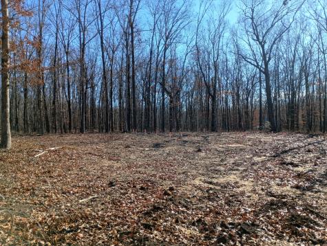 0 Laurel Lake Drive Monteagle TN 37356