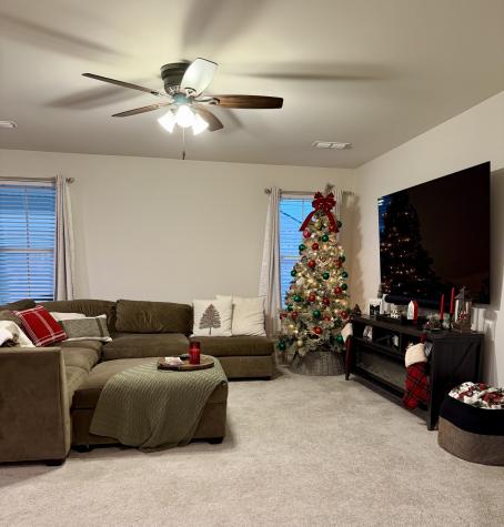 328 Carothers Way White House TN 37188