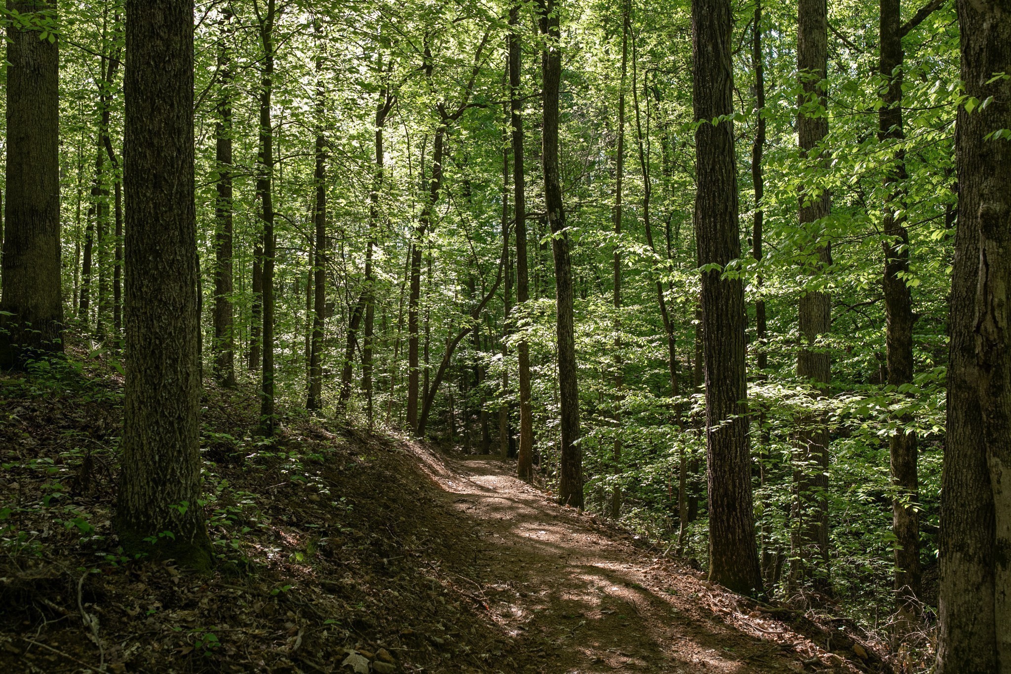 0 Pinewood Road Franklin TN 37064