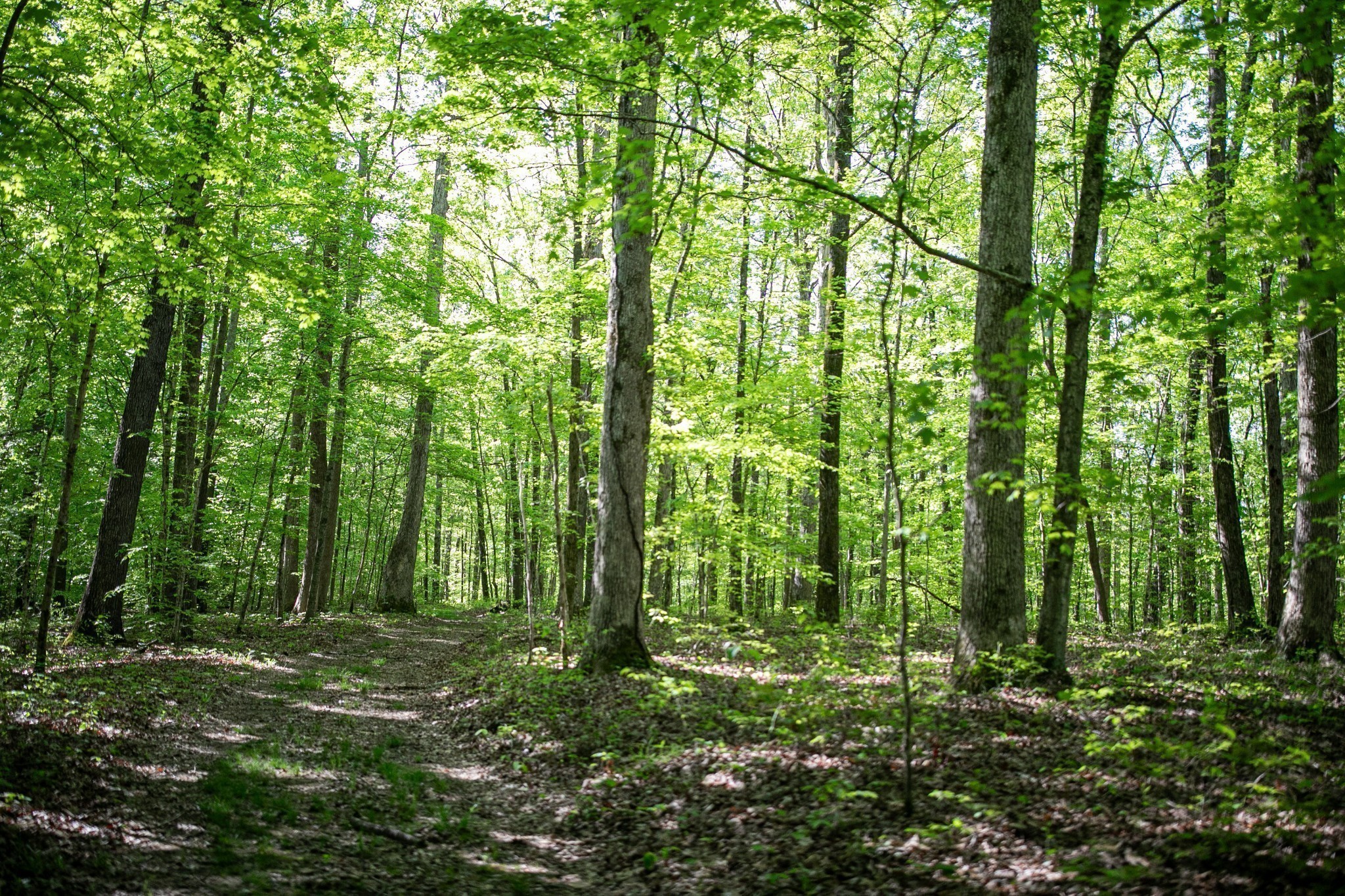 0 Pinewood Road Franklin TN 37064