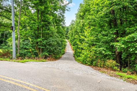 196 Wildlife Road Dover TN 37058
