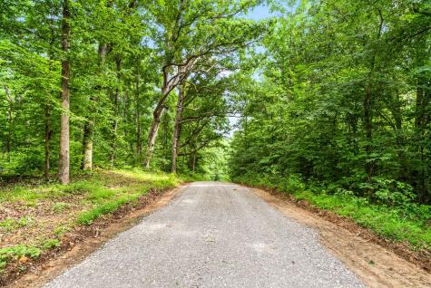 196 Wildlife Road Dover TN 37058