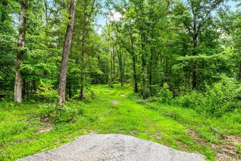196 Wildlife Road Dover TN 37058