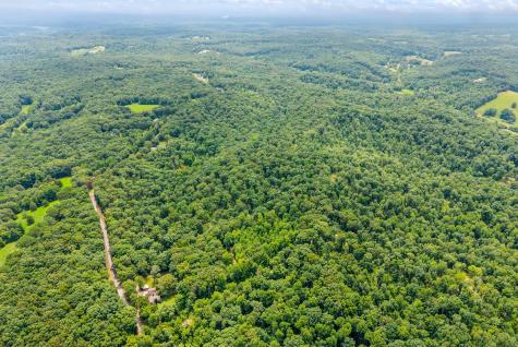196 Wildlife Road Dover TN 37058