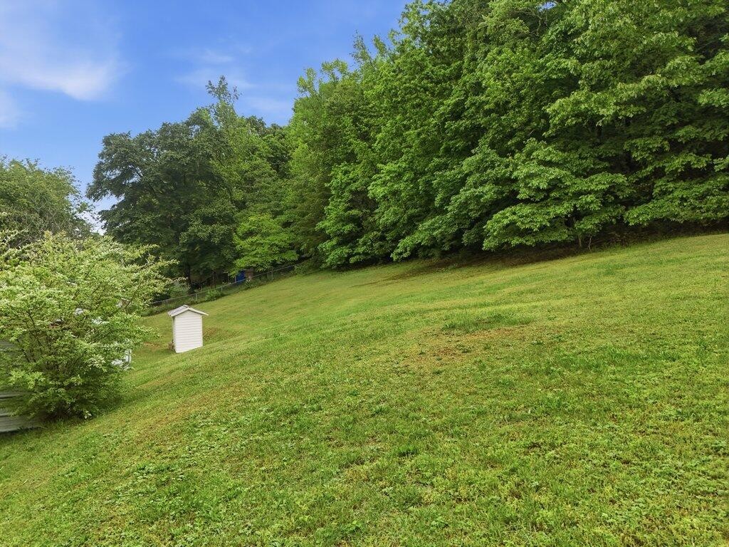 5780 Toestring Valley Road Spring City TN 37381