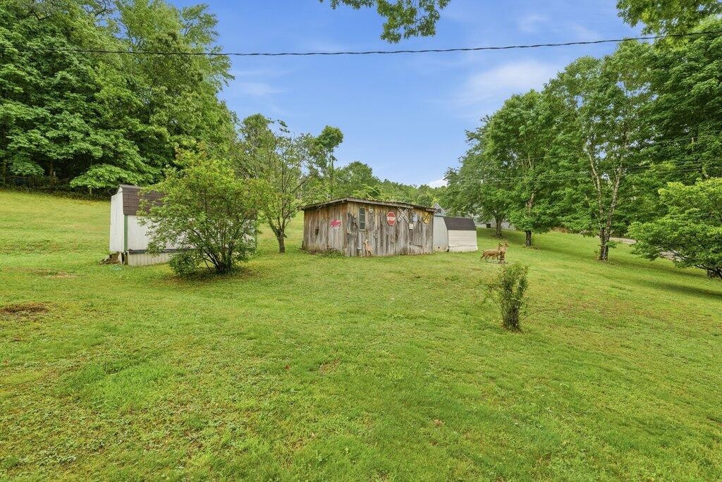 5780 Toestring Valley Road Spring City TN 37381
