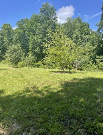 2607 Waynesboro Highway Hohenwald TN 38462