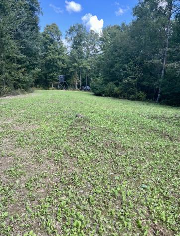 2607 Waynesboro Highway Hohenwald TN 38462