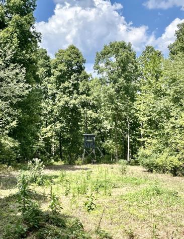 2607 Waynesboro Highway Hohenwald TN 38462