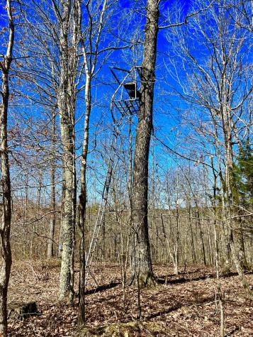 2607 Waynesboro Highway Hohenwald TN 38462