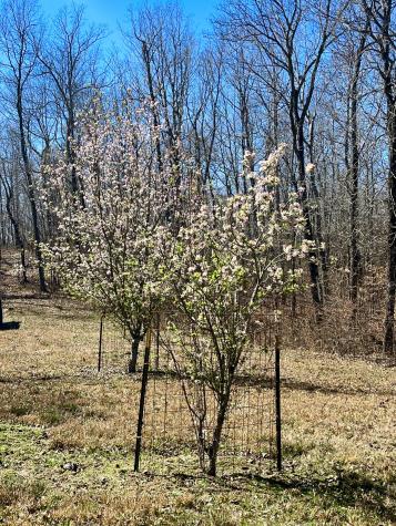 2607 Waynesboro Highway Hohenwald TN 38462