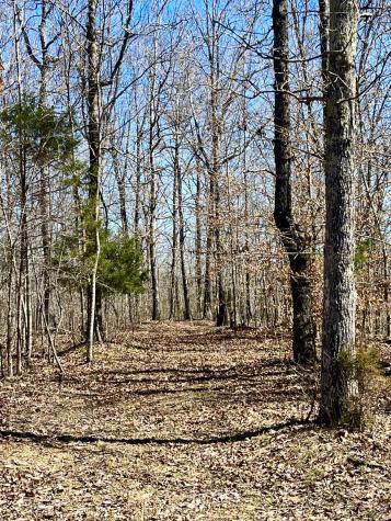 2607 Waynesboro Highway Hohenwald TN 38462