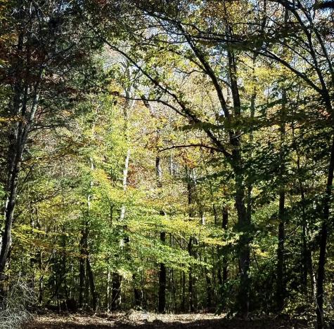2607 Waynesboro Highway Hohenwald TN 38462