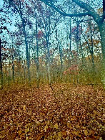 0 Deep Woods Road Sewanee TN 37375