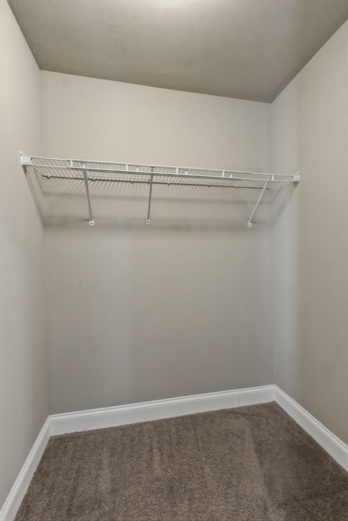 1749 Auburn Lane Columbia TN 38401