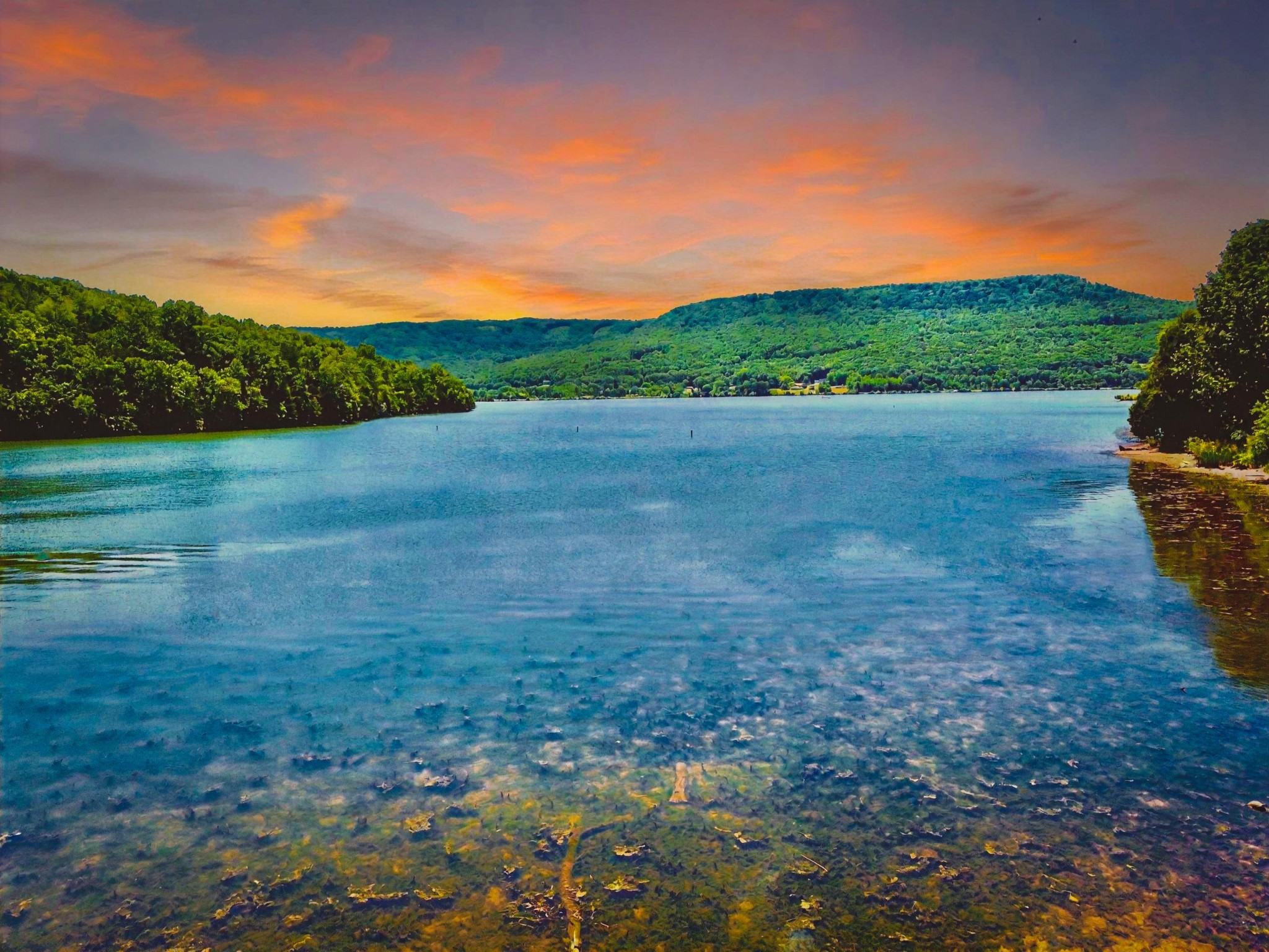 0 Edgewater Way Jasper TN 37347