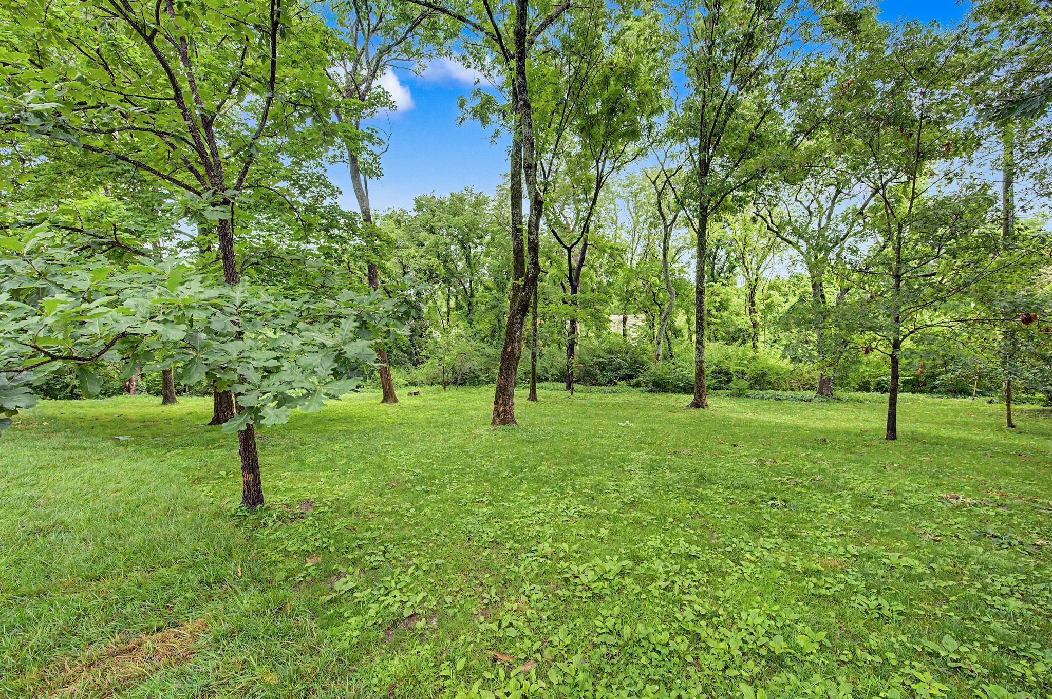 4428 Sheppard Place Nashville TN 37205