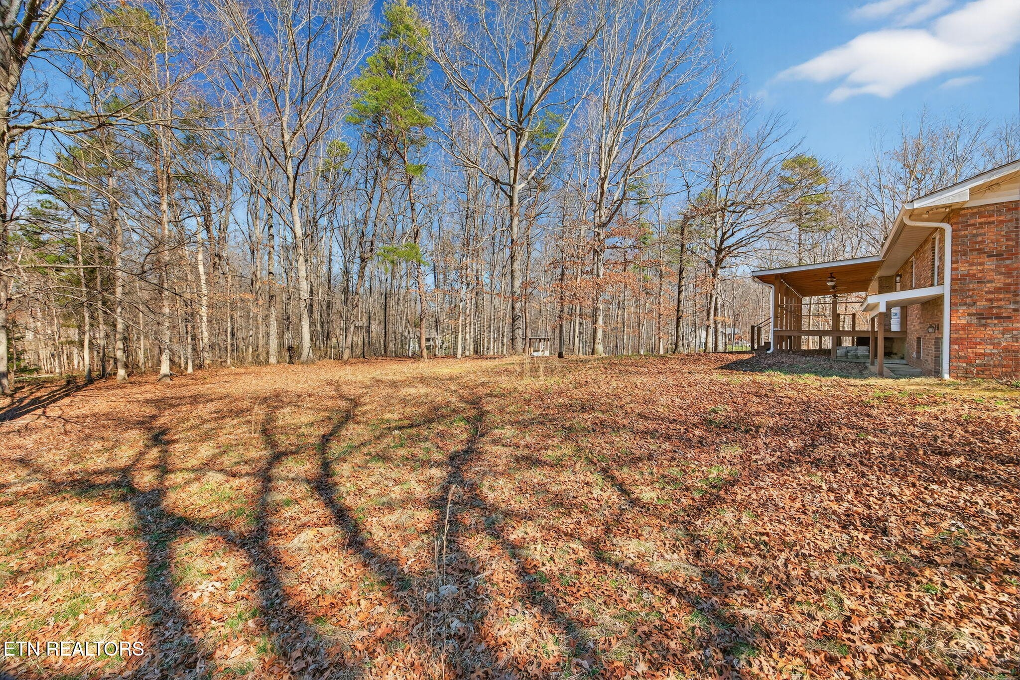 1112 N Shady Lane Loop Clarkrange TN 38553