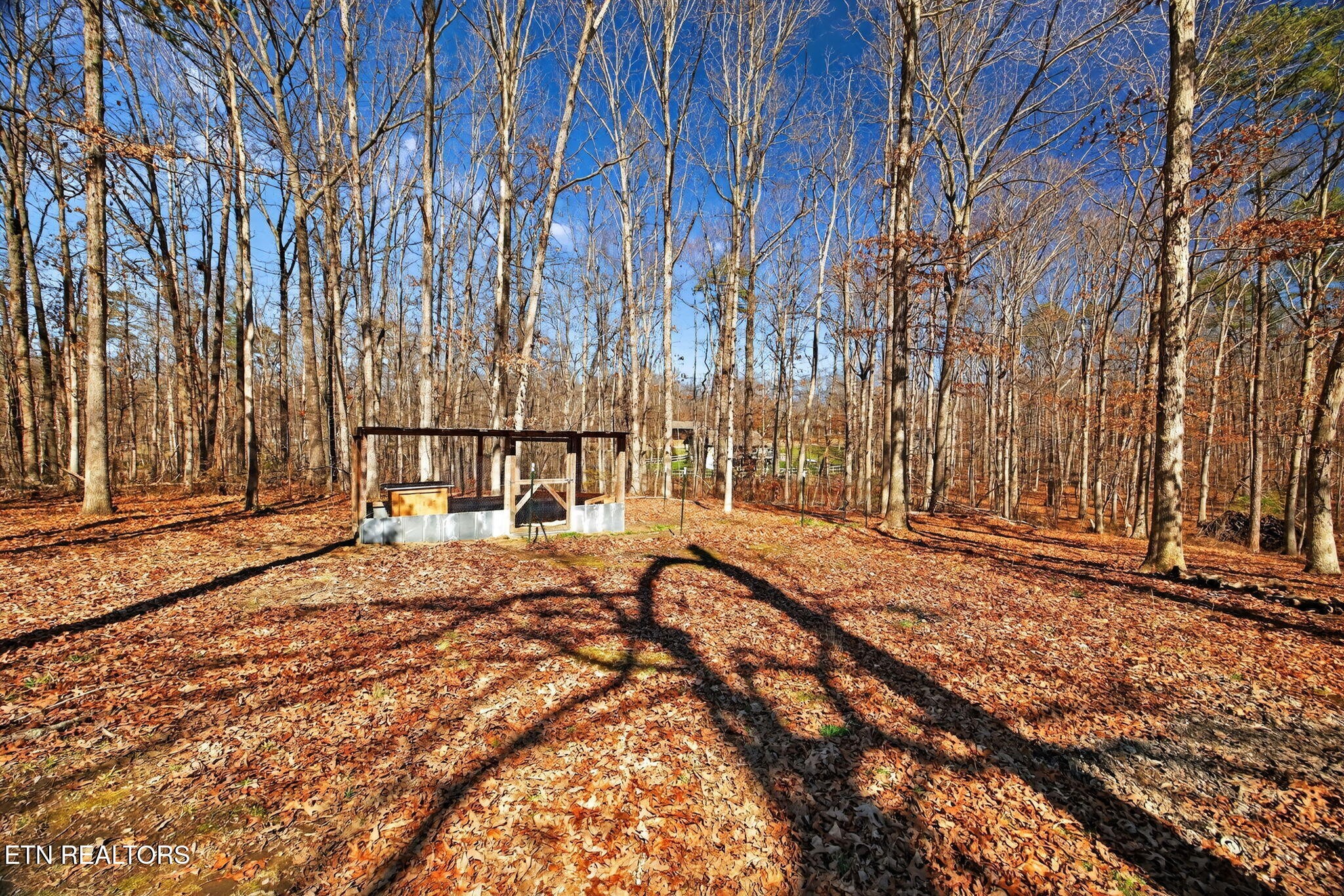 1112 N Shady Lane Loop Clarkrange TN 38553