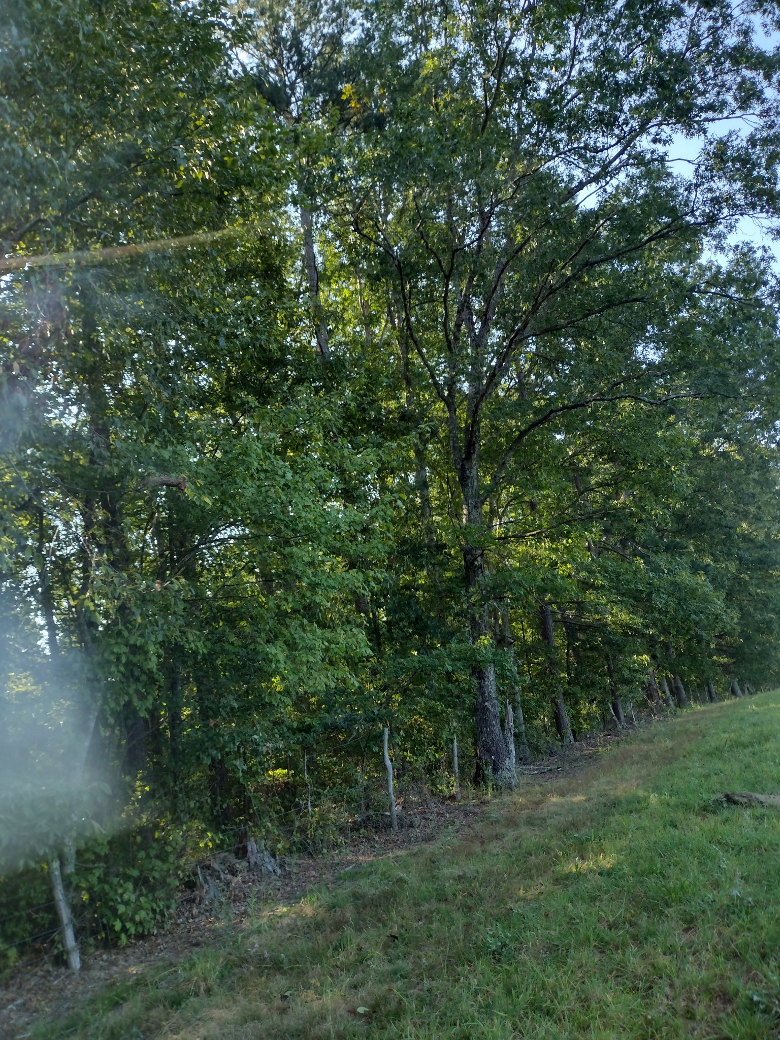 0 N Of 60th Ave, S Gruetli Laager TN 37339