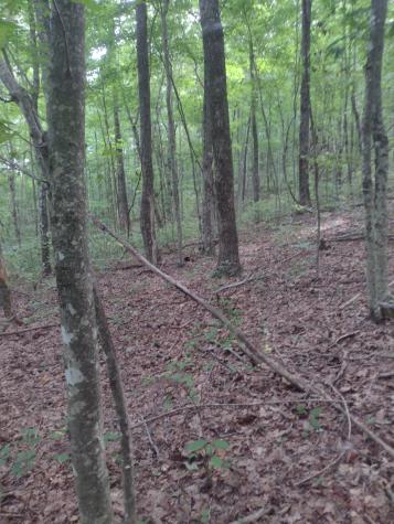 0 N Of 60th Ave, S Gruetli Laager TN 37339