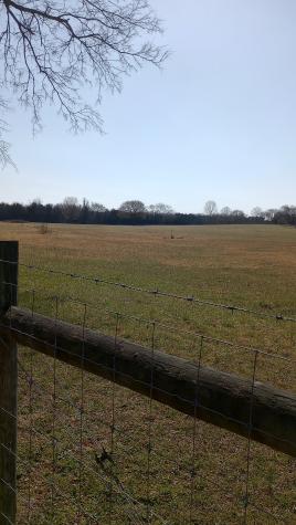 0 Verona Caney Lot #2 Lewisburg TN 37091
