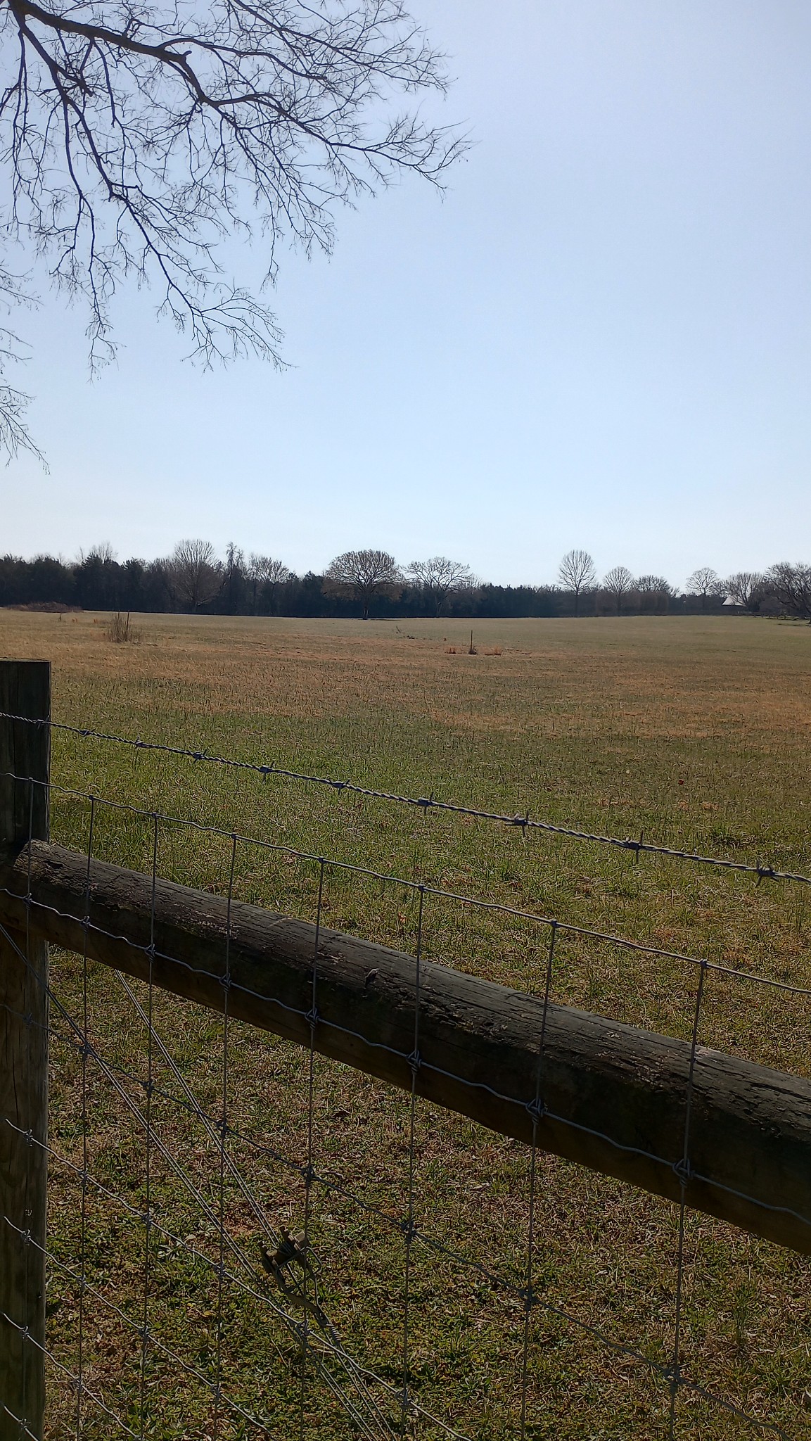 0 Verona Caney Lot #2 Lewisburg TN 37091