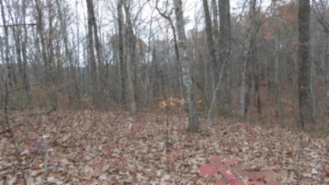 0 Cumberland Cove Road Monterey TN 38574