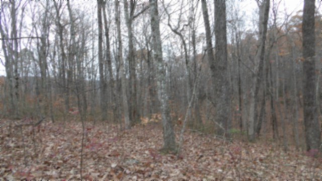 0 Cumberland Cove Road Monterey TN 38574