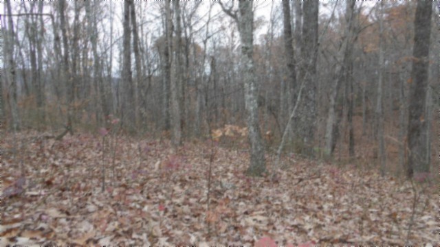 0 Cumberland Cove Road Monterey TN 38574