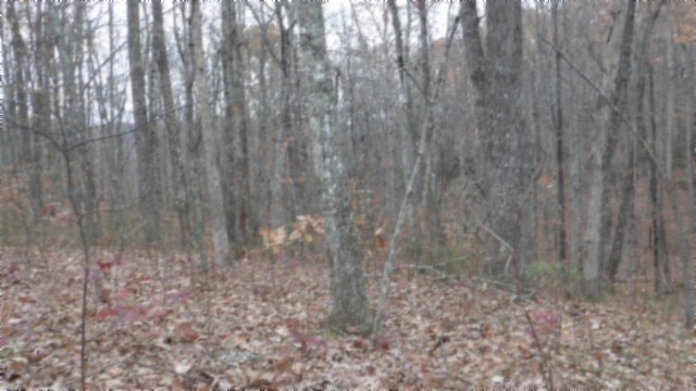 0 Cumberland Cove Road Monterey TN 38574