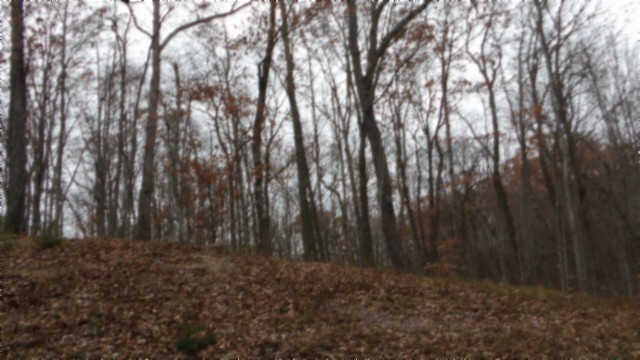 0 Cumberland Cove Road Monterey TN 38574