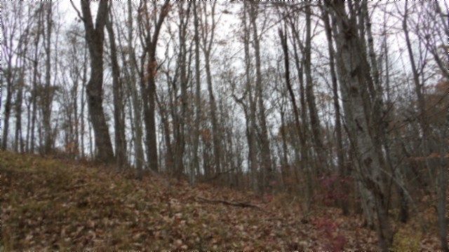 0 Cumberland Cove Road Monterey TN 38574