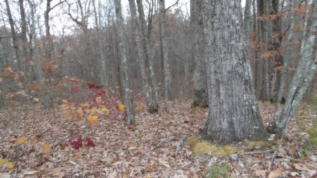 0 Cumberland Cove Road Monterey TN 38574