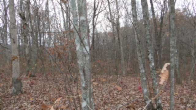 0 Cumberland Cove Road Monterey TN 38574