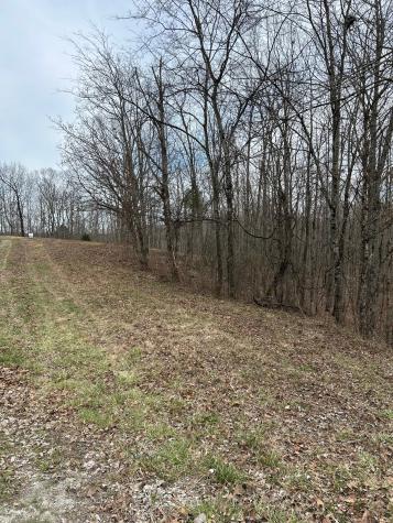 0 Tug Drive Waverly TN 37185