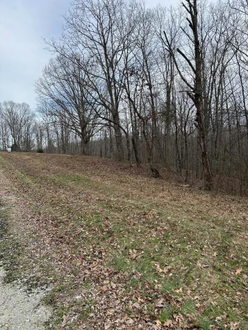 0 Tug Drive Waverly TN 37185