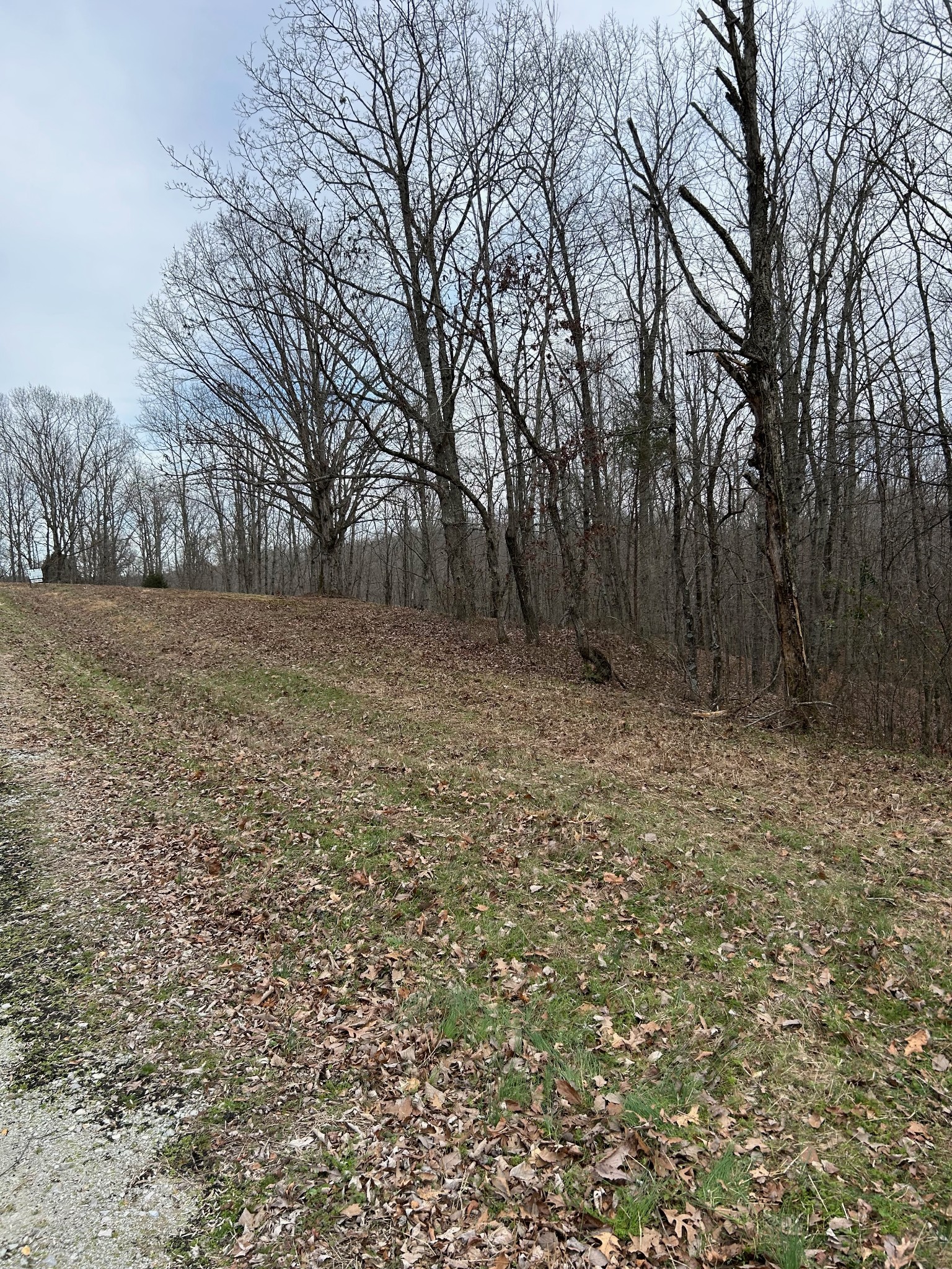 0 Tug Drive Waverly TN 37185