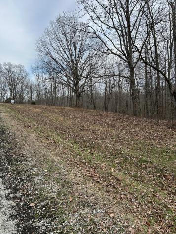 0 Tug Drive Waverly TN 37185