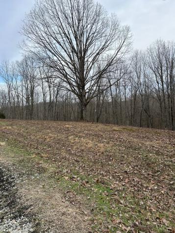 0 Tug Drive Waverly TN 37185