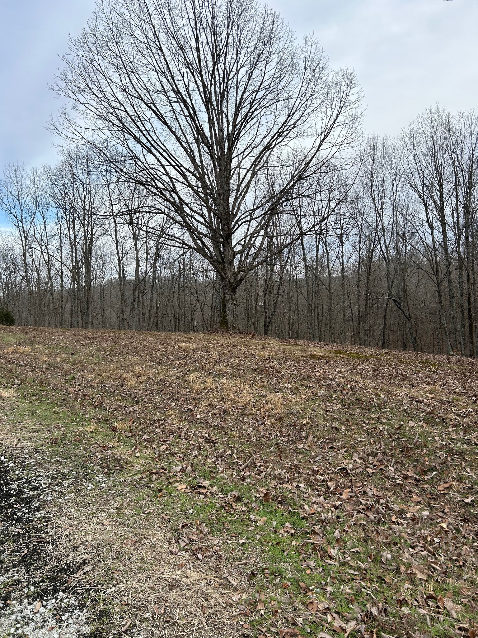 0 Tug Drive Waverly TN 37185