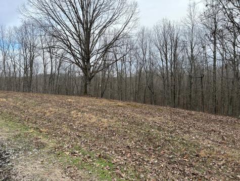 0 Tug Drive Waverly TN 37185