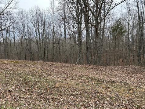 0 Tug Drive Waverly TN 37185
