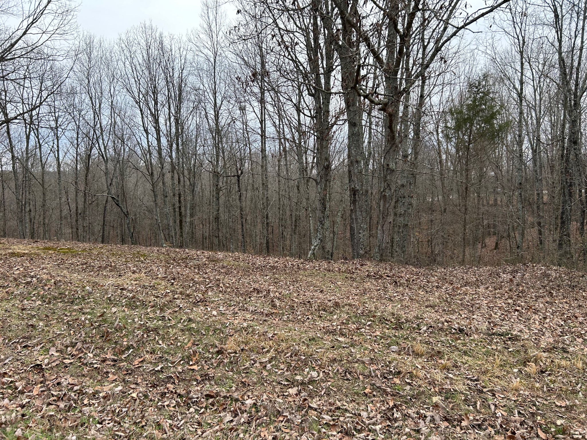 0 Tug Drive Waverly TN 37185