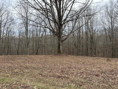 0 Tug Drive Waverly TN 37185