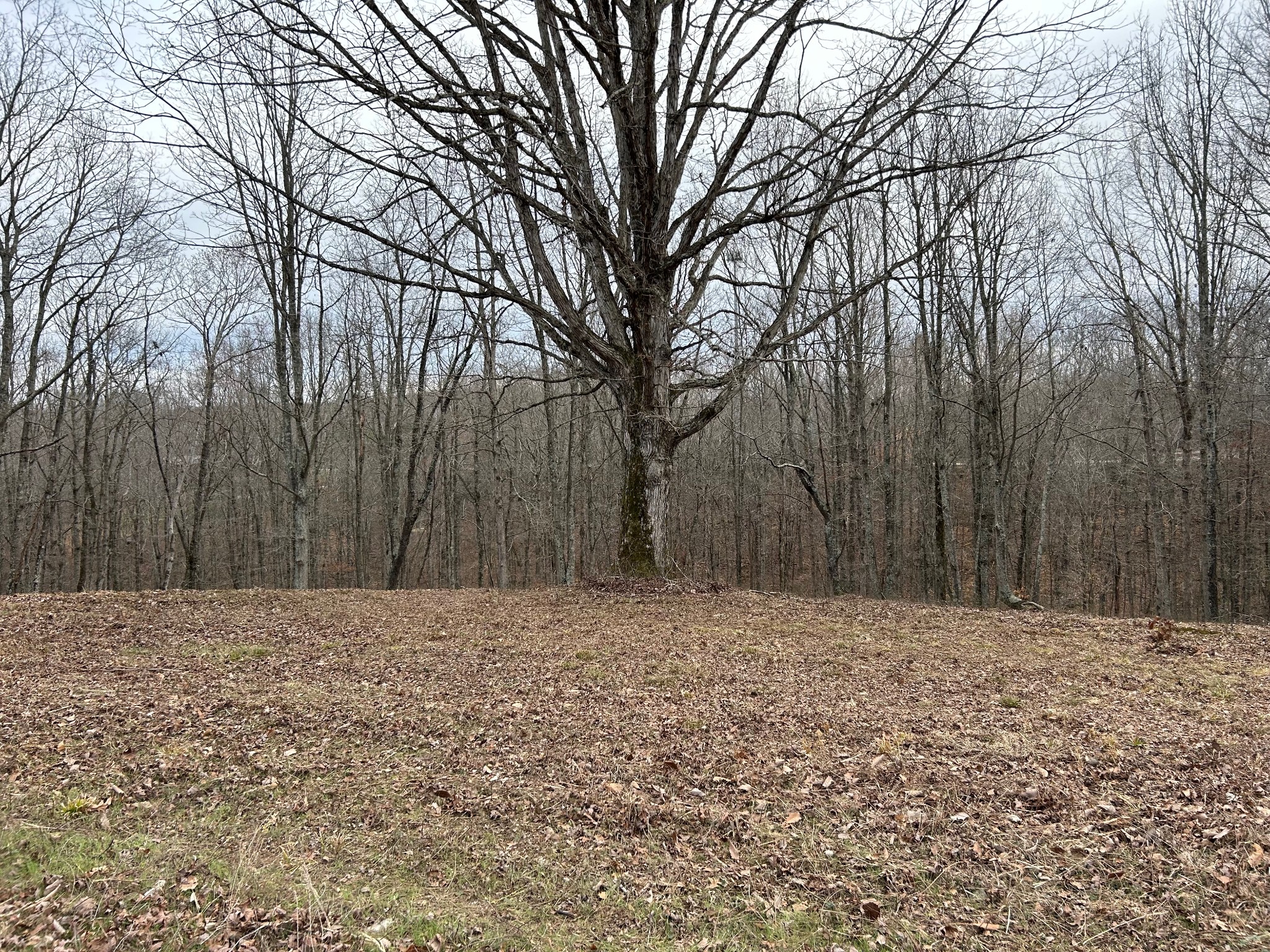 0 Tug Drive Waverly TN 37185